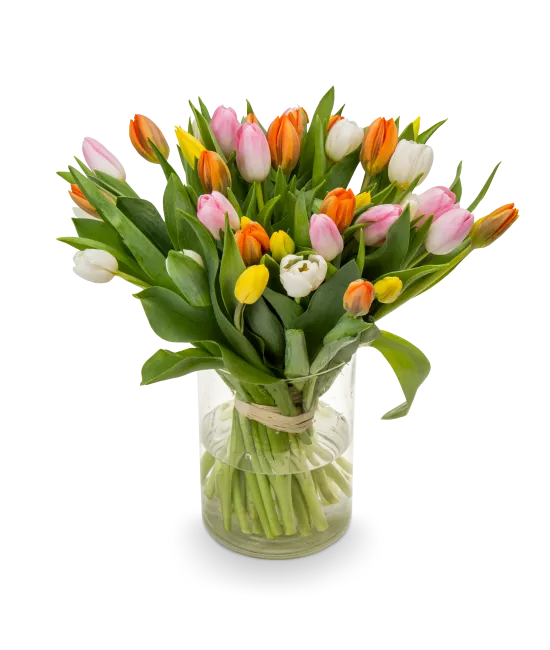 Bouquet of tulips